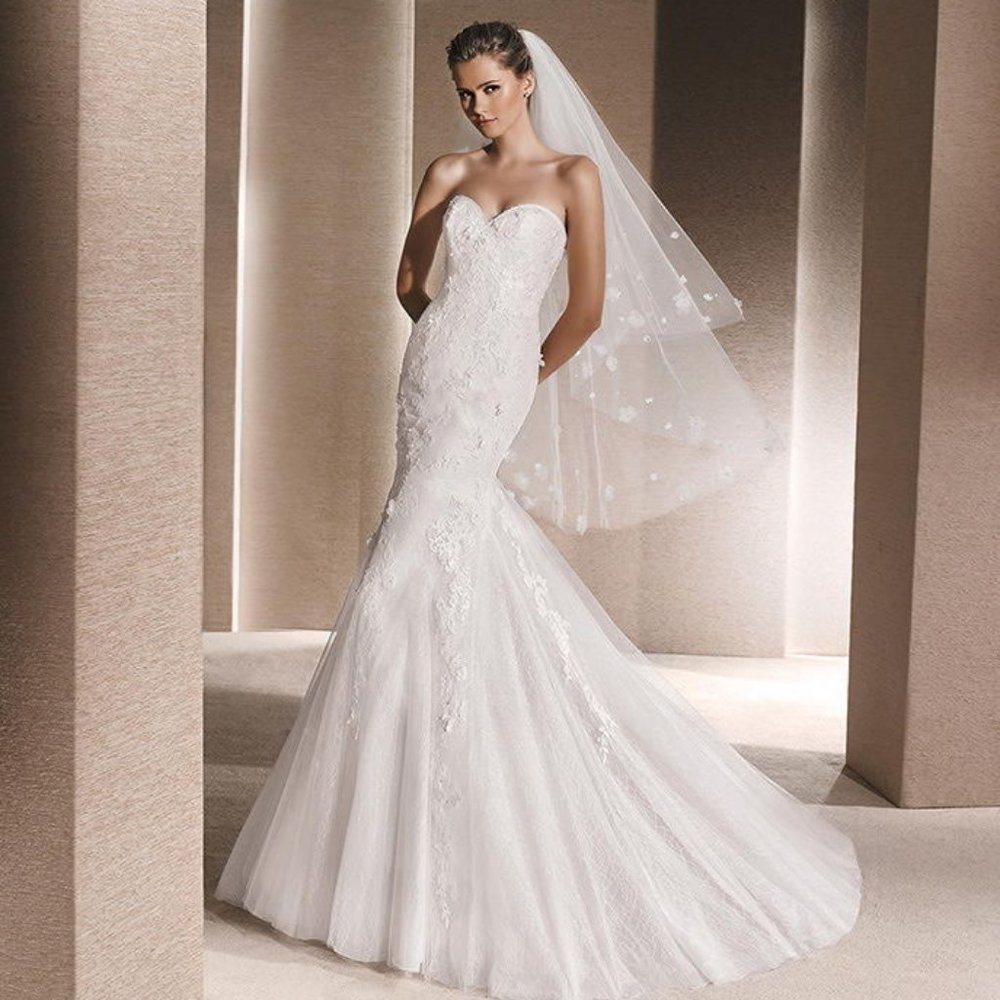 La Sposa by Pronovias Wedding Dress Rochelle - Picture 1 of 13